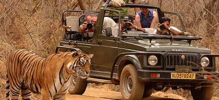 Ranthambore City Info